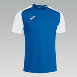 St. Dominic's Football Kit